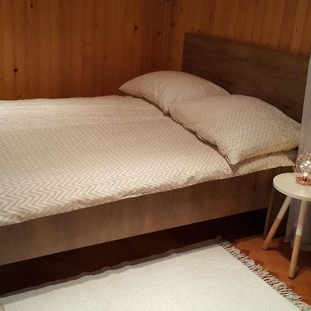 Ljubljana City Centre Apartment מראה חיצוני תמונה
